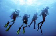 PPK Plongée Guadeloupe - Réserve Cousteau