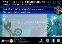 diplôme, baptême de plongée, Bouillante, Guadeloupe, Réserve Cousteau